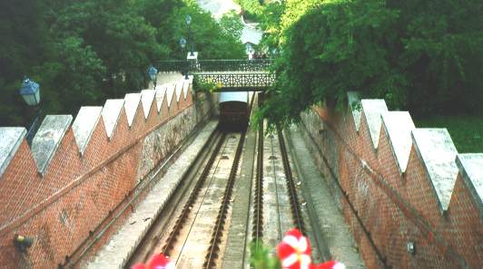 Photo No.7