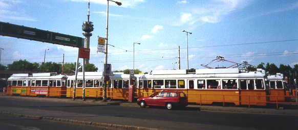 Photo No.8